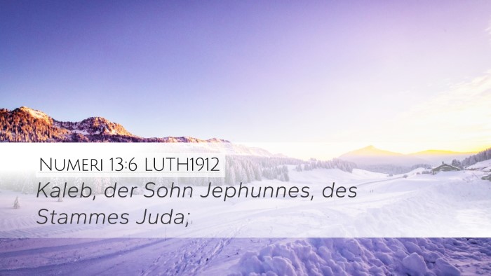 Numeri 13:6 LUTH1912 Bible Verse Image
