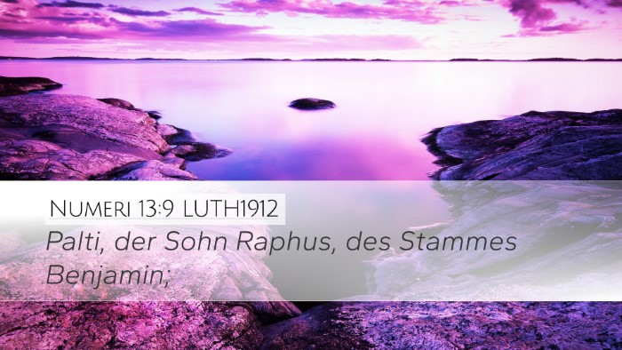 Numeri 13:9 LUTH1912 Desktop Wallpaper - Palti, der Sohn Raphus, des Stammes - Desktop Bible Verse Wallpaper