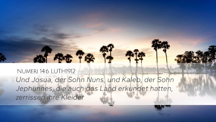 Numeri 14:6 LUTH1912 Bible Verse Image
