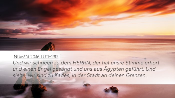Numeri 20:16 LUTH1912 Bible Verse Image