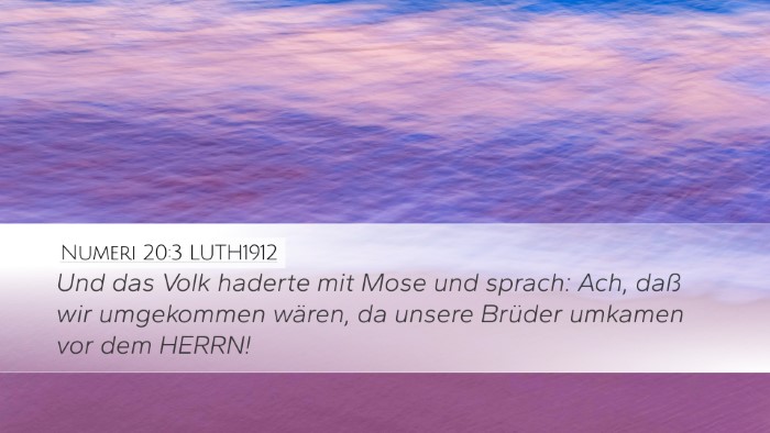 Numeri 20:3 LUTH1912 Bible Verse Image