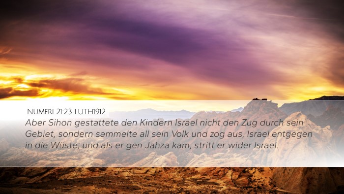 Numeri 21:23 LUTH1912 Bible Verse Image