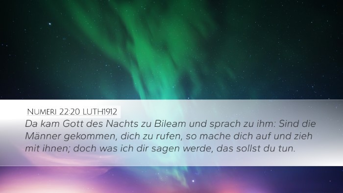 Numeri 22:20 LUTH1912 Bible Verse Image