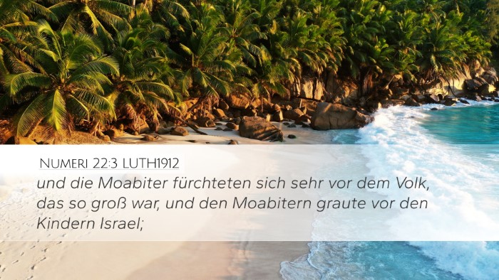 Numeri 22:3 LUTH1912 Bible Verse Image
