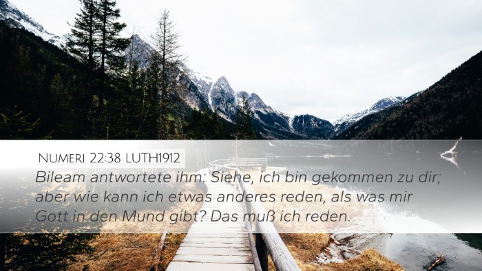 Numeri 22:38 LUTH1912 Bible Verse Image