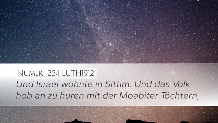 Numeri 25:1 LUTH1912 Bible Verse Image