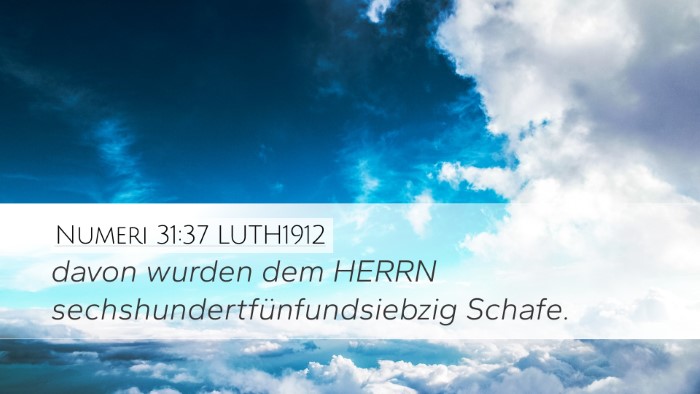 Numeri 31:37 LUTH1912 Bible Verse Image