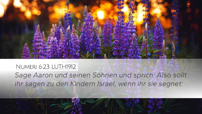 Numeri 6:23 LUTH1912 Bible Verse Image