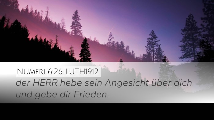 Numeri 6:26 LUTH1912 Bible Verse Image