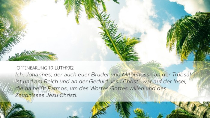 Offenbarung 1:9 LUTH1912 Bible Verse Image