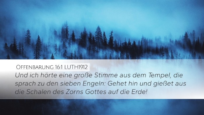 Offenbarung 16:1 LUTH1912 Bible Verse Image