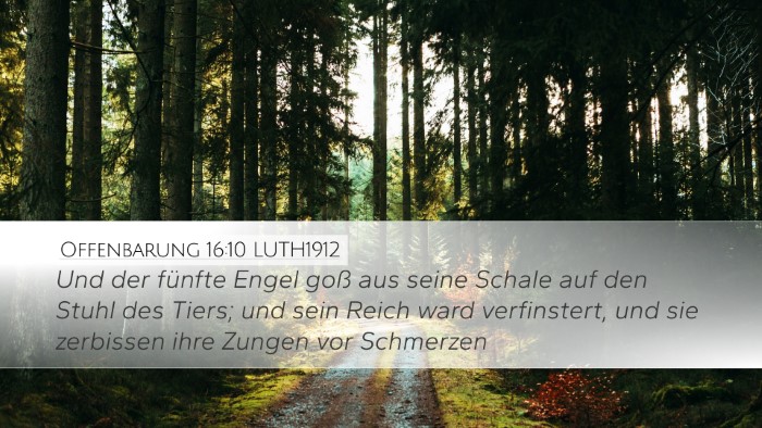 Offenbarung 16:10 LUTH1912 Bible Verse Image