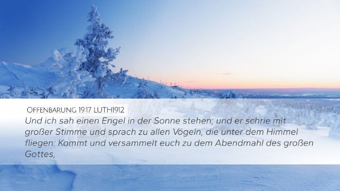 Offenbarung 19:17 LUTH1912 Bible Verse Image