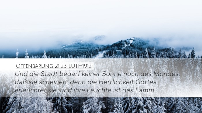 Offenbarung 21:23 LUTH1912 Bible Verse Image