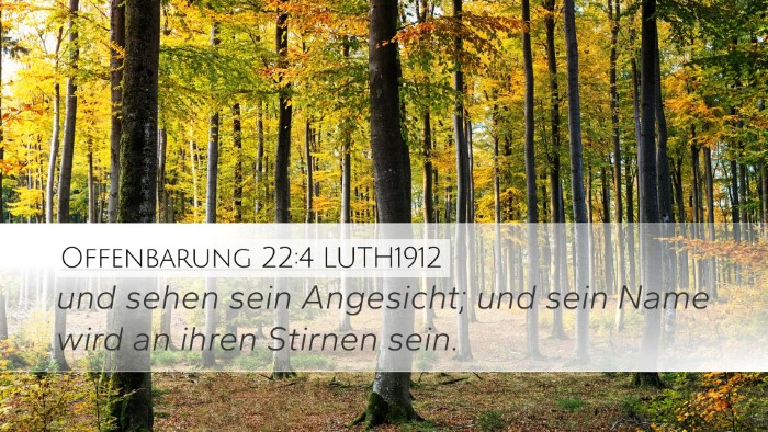 Offenbarung 22:4 LUTH1912 Bible Verse Image