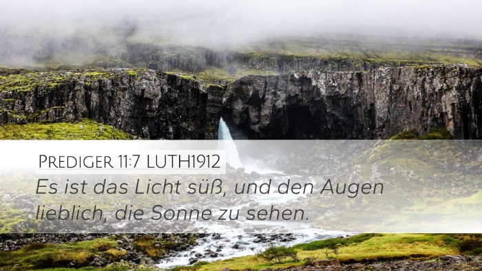 Prediger 11:7 LUTH1912 Bible Verse Image