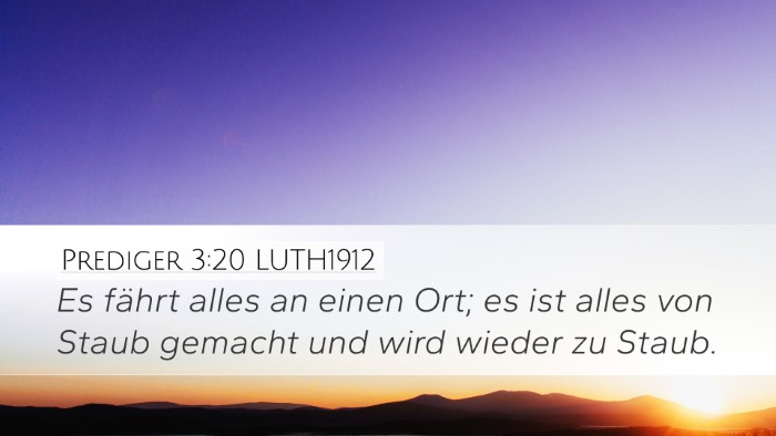 Prediger 3:20 LUTH1912 Bible Verse Image