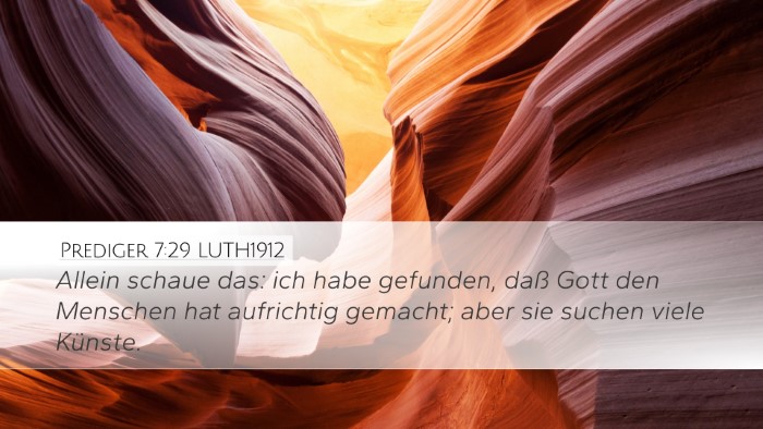 Prediger 7:29 LUTH1912 Bible Verse Image