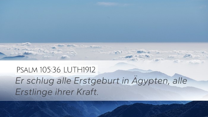 Psalm 105:36 LUTH1912 Desktop Wallpaper - Er schlug alle Erstgeburt in Ägypten, alle - Desktop Bible Verse Wallpaper