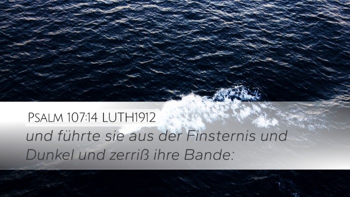 Psalm 107:14 LUTH1912 Bible Verse Image