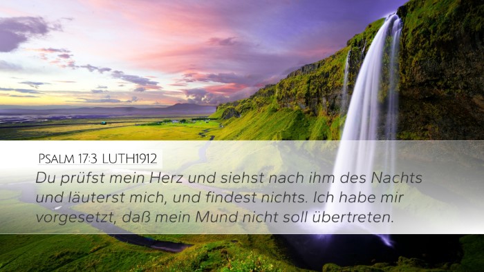 Psalm 17:3 LUTH1912 Bible Verse Image