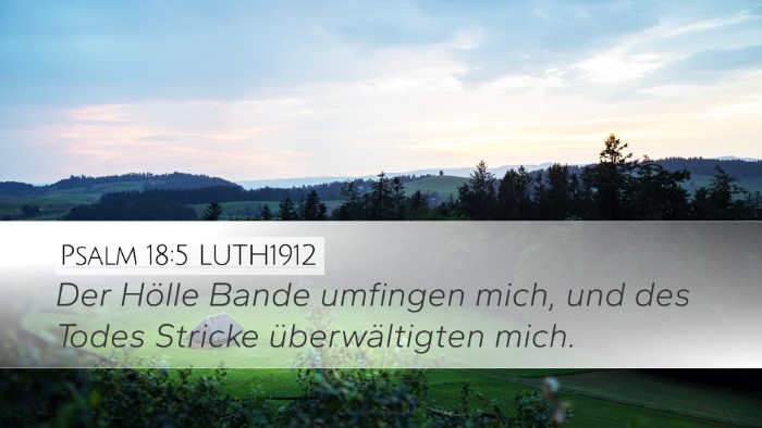 Psalm 18:5 LUTH1912 Desktop Wallpaper - Der Hölle Bande umfingen mich, und des Todes - Desktop Bible Verse Wallpaper