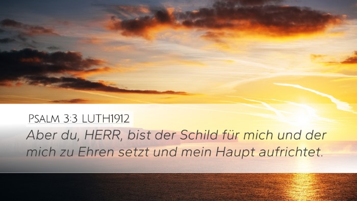 Psalm 3:3 LUTH1912 Bible Verse Image
