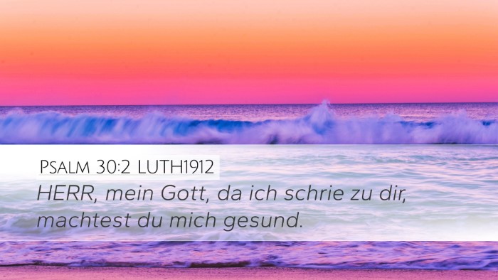 Psalm 30:2 LUTH1912 Bible Verse Image