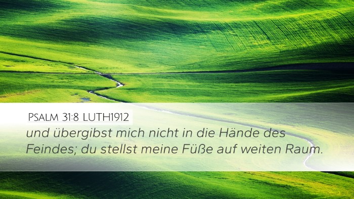 Psalm 31:8 LUTH1912 Bible Verse Image
