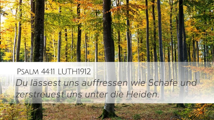 Psalm 44:11 LUTH1912 Bible Verse Image