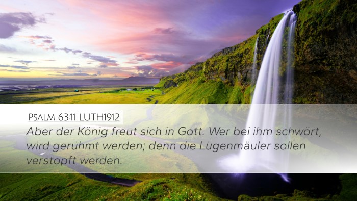 Psalm 63:11 LUTH1912 Bible Verse Image