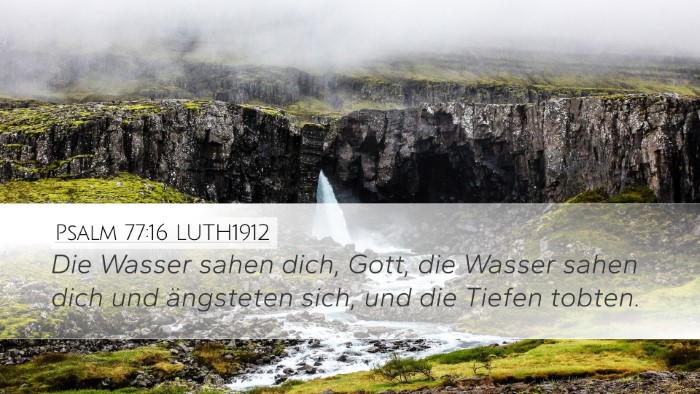 Psalm 77:16 LUTH1912 Bible Verse Image