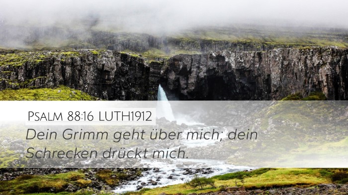Psalm 88:16 LUTH1912 Bible Verse Image