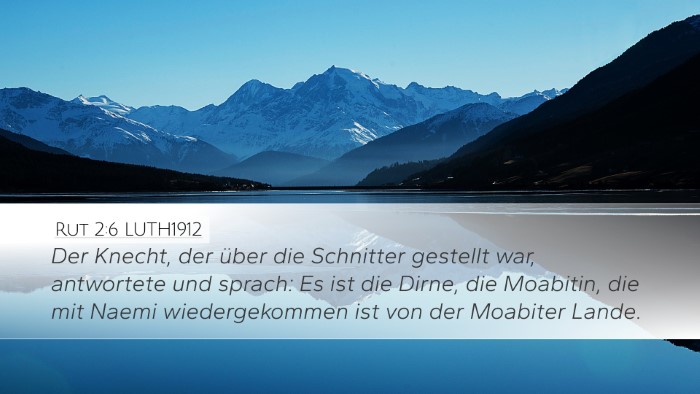 Rut 2:6 LUTH1912 Desktop Wallpaper - Der Knecht, der über die Schnitter gestellt war, - Desktop Bible Verse Wallpaper