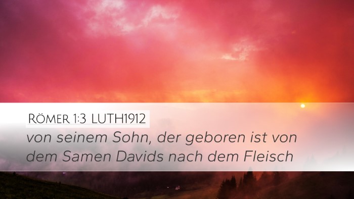 Römer 1:3 LUTH1912 Bible Verse Image