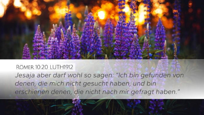 Römer 10:20 LUTH1912 Bible Verse Image