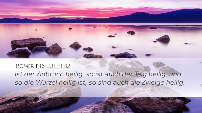 Römer 11:16 LUTH1912 Bible Verse Image