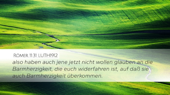 Römer 11:31 LUTH1912 Bible Verse Image