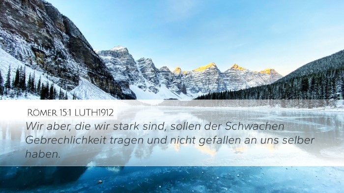 Römer 15:1 LUTH1912 Bible Verse Image
