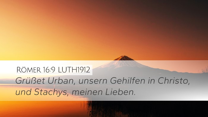 Römer 16:9 LUTH1912 Bible Verse Image