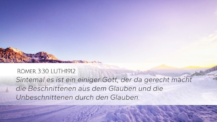 Römer 3:30 LUTH1912 Bible Verse Image