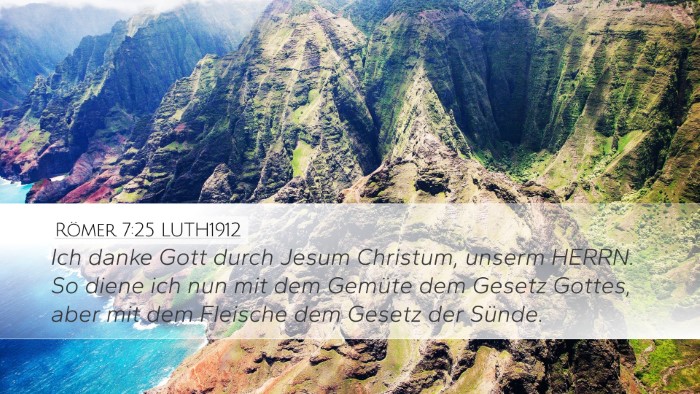 Römer 7:25 LUTH1912 Bible Verse Image