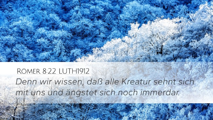 Römer 8:22 LUTH1912 Bible Verse Image