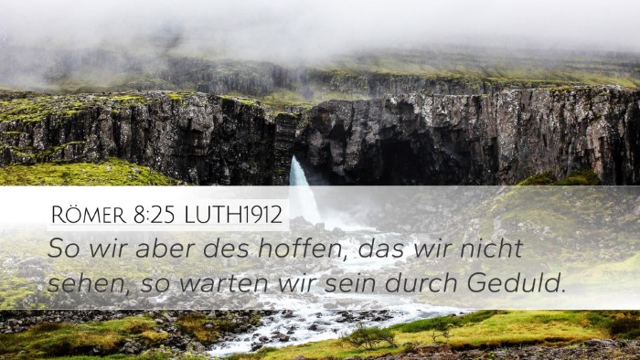 Römer 8:25 LUTH1912 Bible Verse Image