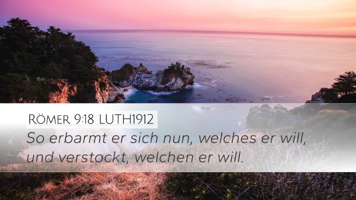 Römer 9:18 LUTH1912 Bible Verse Image