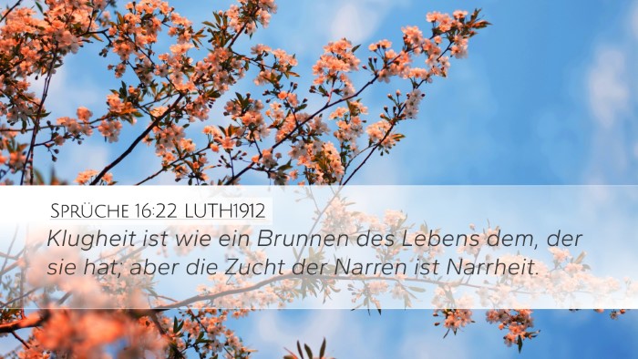 Sprüche 16:22 LUTH1912 Bible Verse Image