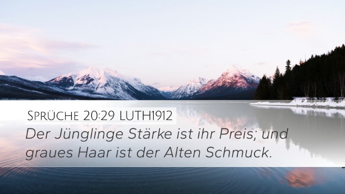 Sprüche 20:29 LUTH1912 Bible Verse Image