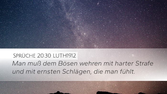 Sprüche 20:30 LUTH1912 Bible Verse Image