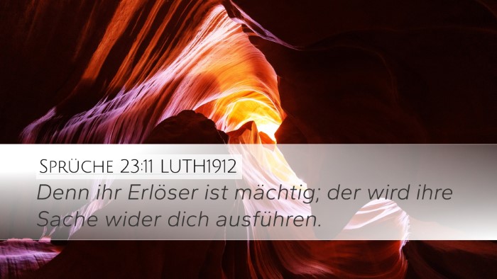 Sprüche 23:11 LUTH1912 Bible Verse Image