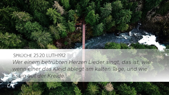 Sprüche 25:20 LUTH1912 Bible Verse Image